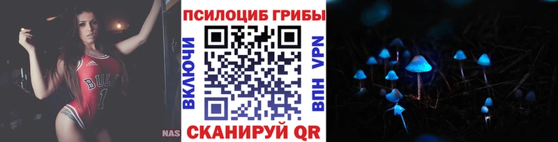 Псилоцибиновые грибы Psilocybe Бородино